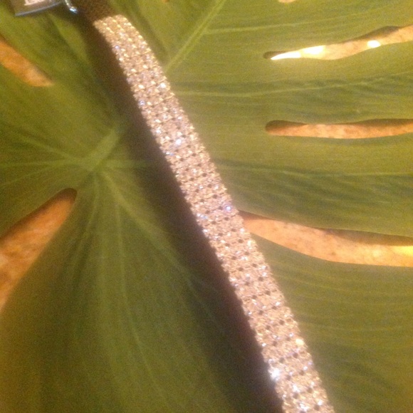 NWT dog collar - Picture 3 of 3